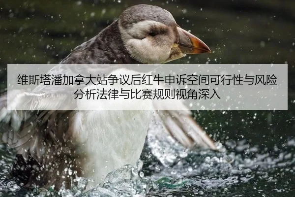 维斯塔潘加拿大站争议后红牛申诉空间可行性与风险分析法律与比赛规则视角深入